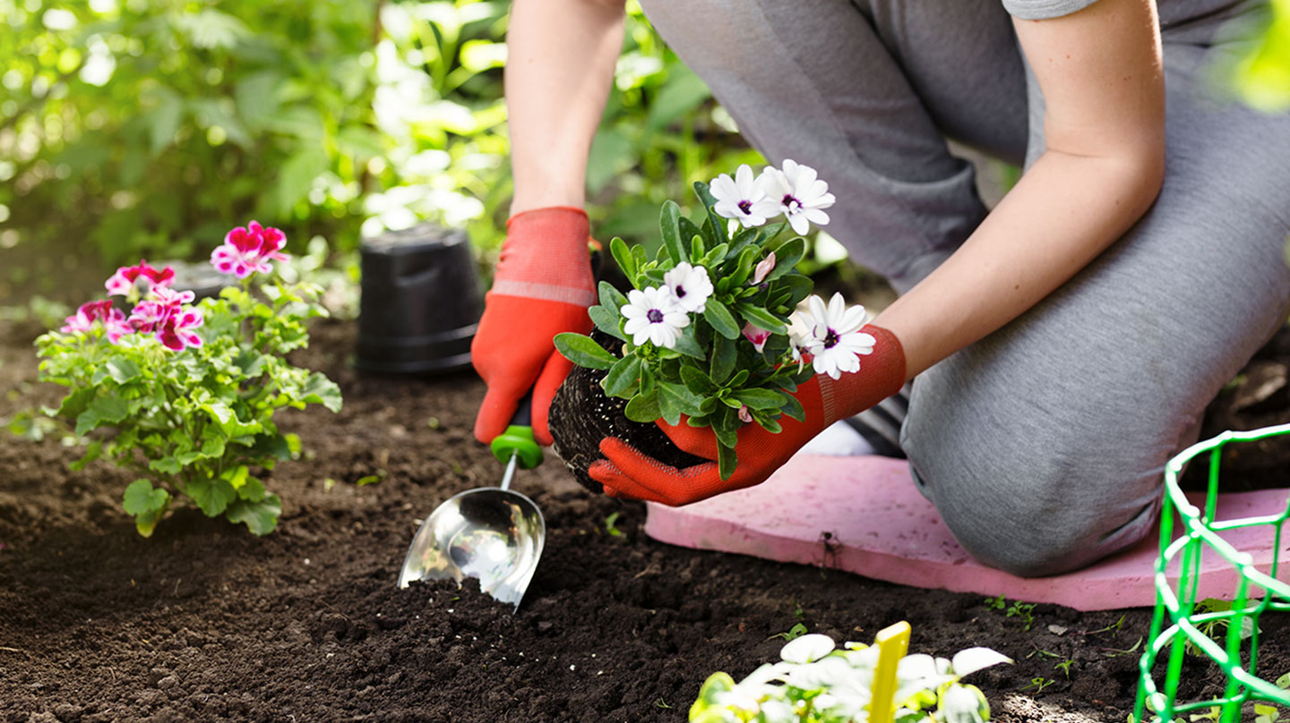 Tetanus_ Geschützt in die Gartensaison